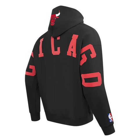 Chicago Bulls Wingspan Hoodie