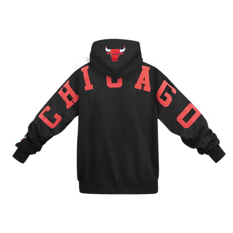 Chicago Bulls Wingspan Hoodie