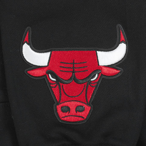 Chicago Bulls Wingspan Hoodie