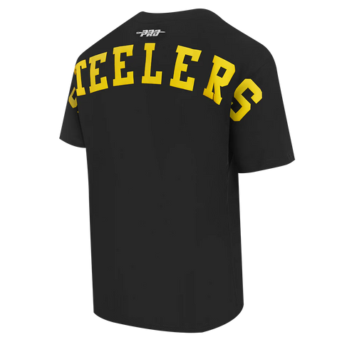 Pittsburgh Steelers Wingspan T-Shirt