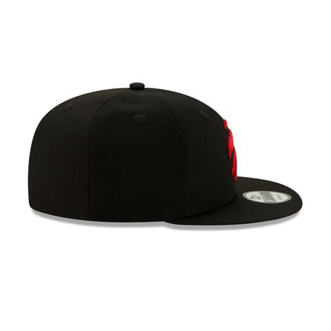 Toronto Raptors Basic 9FIFTY Snapback
