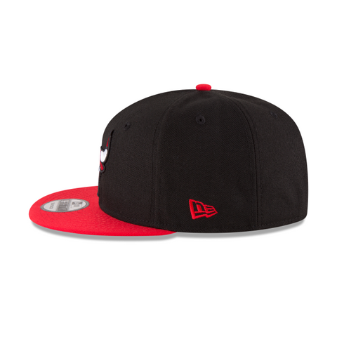 Chicago Bulls Basic 2Tone 9FIFTY Snapback