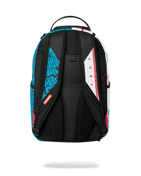 USPS Priority Package Backpack