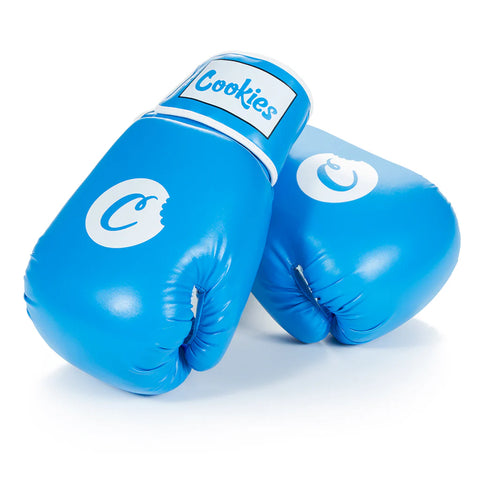 12oz Boxing Gloves