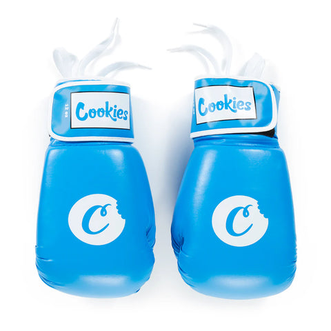 12oz Boxing Gloves