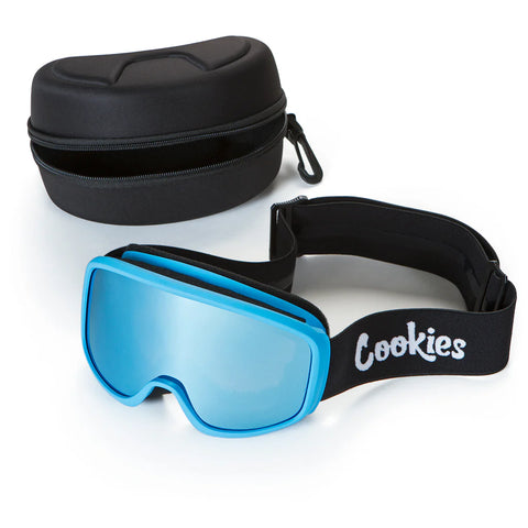 Ski Goggles