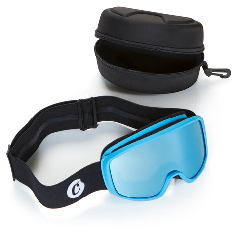 Ski Goggles