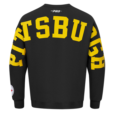 Pittsburgh Steelers Wingspan Long Sleeve
