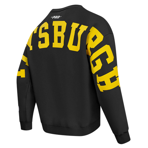 Pittsburgh Steelers Wingspan Long Sleeve