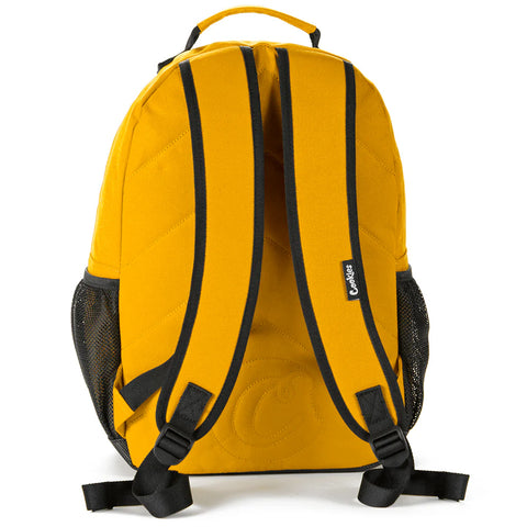 Stasher Backpack