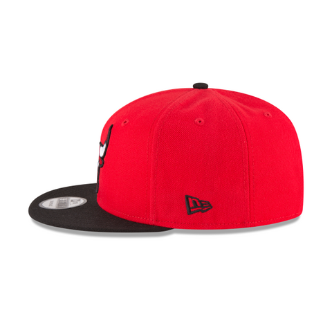 Chicago Bulls 2Tone Basic 9FIFTY Snapback