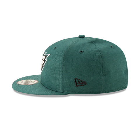 Philadelphia Eagles Basic 9FIFTY Snapback