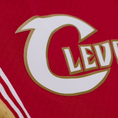 LeBron James Cleveland Cavaliers 2003-04 Jersey