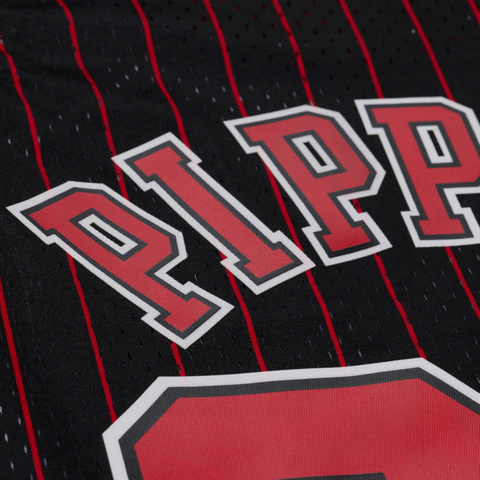 Scottie Pippen Chicago Bulls 1995-96 Jersey